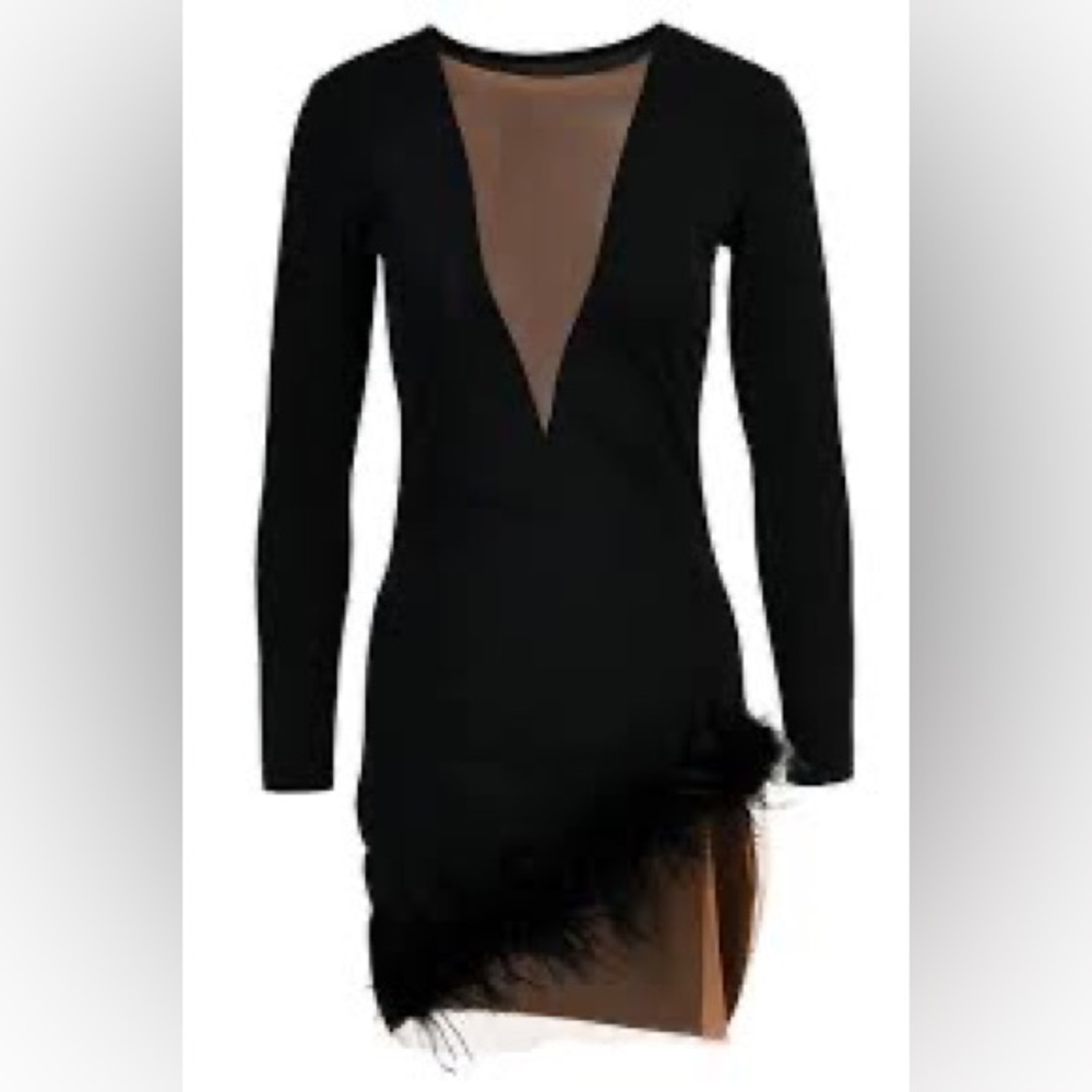 Mesh, deep V neck, black dress.